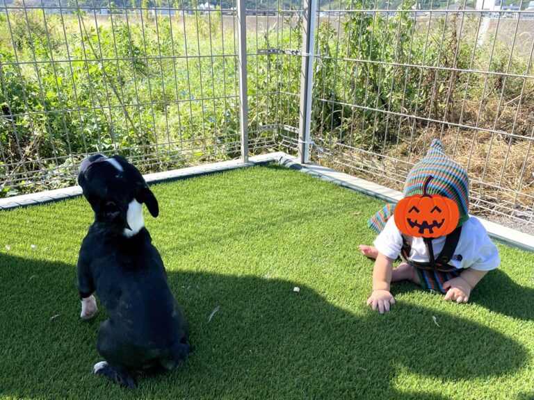 鳴門市鳴門町高島字浜中　2.900万円