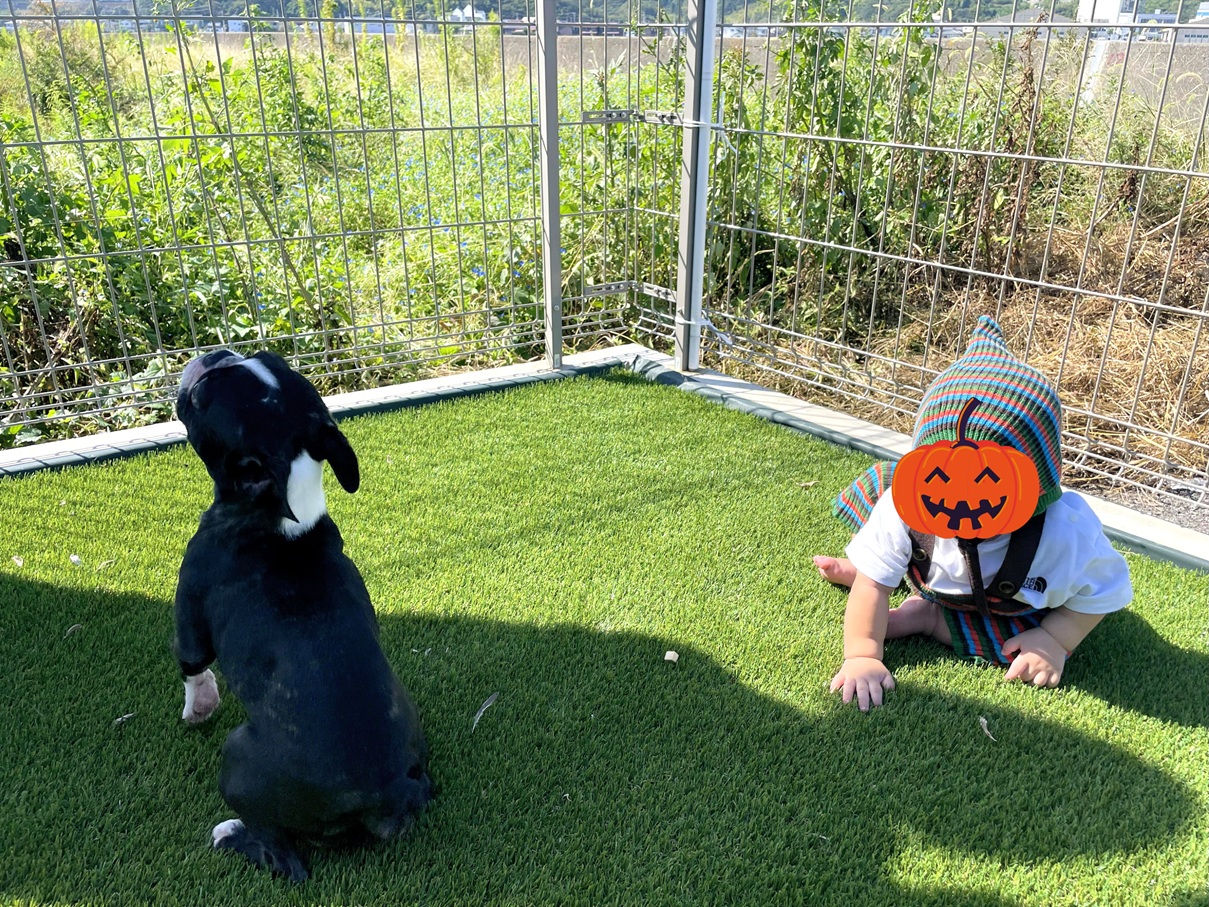 鳴門市鳴門町高島字浜中　2.900万円