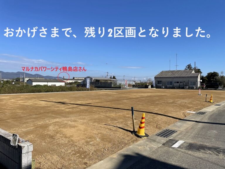 吉野川市鴨島町牛島